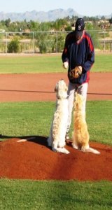 The love of baseball is universal.  You have to admire their enthusiasm.