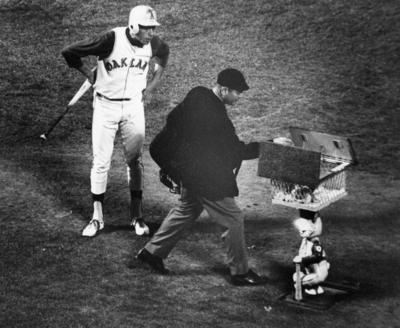 1969 Oakland Athletics- Harvey the Rabbit, pop up baseball dispenser.