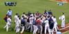 Red Sox/Rays Brawl