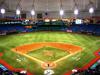 Tropicana Field, Home to the Tampa Bay Rays